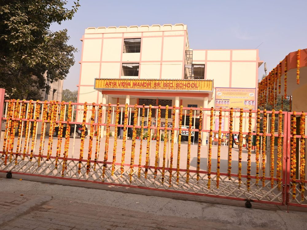 AVM Front